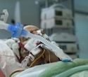 Lung to gut movement of hospital-acquired bacterium raises the risk of sepsis