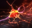 Restoring brain energy balance reverses advanced Alzheimer’s disease in mouse models