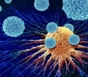 Novel immunotherapy targeting pancreatic cancer shows promising results in phase 1/2 trial
