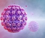 What is HPV?