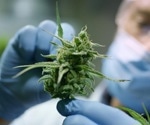 New insight into fast-growing retail and medicinal cannabis industry