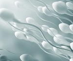 Cancer risk elevated in families with male infertility