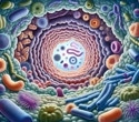 Genes influence the gut microbiome beyond the individual
