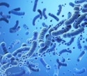 Social living allows genetic effects to spread through the gut microbiome