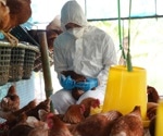 Advanced diagnostic kit developed for detecting highly pathogenic H5N1 avian influenza virus