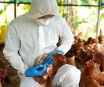 Global epidemic of avian flu - Governments bury their heads