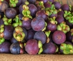 Native Australian fruits very high in antioxidants