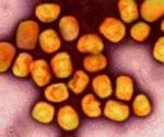Blood viral load predicts severity of mpox symptoms