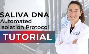Performing Saliva DNA Isolation with the Automated Magnetic Bead System