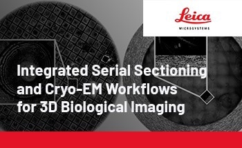 How integrated tools can support electron microscopy workflows