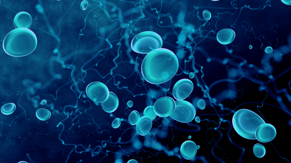 Therapeutic Proteins in Biological Fluids